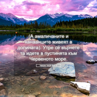 Picture 05 - Числа 14:25 BULG - (А амаличаните и - Bible Verse Picture