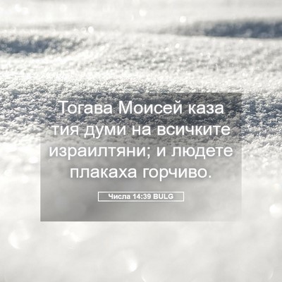 Picture 05 - Числа 14:39 BULG - Тогава Моисей каза тия - Bible Verse Picture
