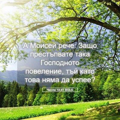 Picture 05 - Числа 14:41 BULG - А Моисей рече: Защо - Bible Verse Picture