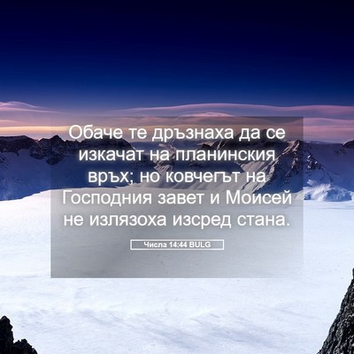 Picture 05 - Числа 14:44 BULG - Обаче те дръзнаха да се - Bible Verse Picture