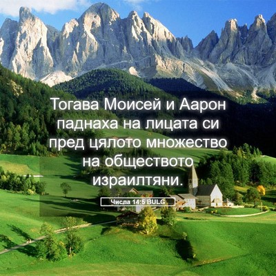Picture 05 - Числа 14:5 BULG - Тогава Моисей и Аарон - Bible Verse Picture