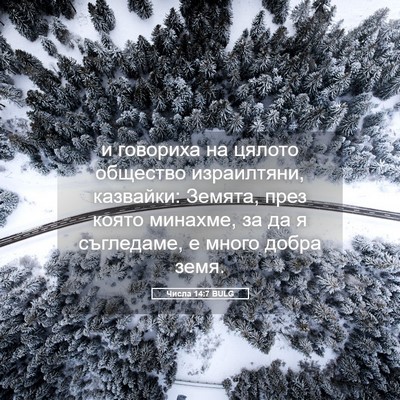 Picture 05 - Числа 14:7 BULG - и говориха на цялото - Bible Verse Picture