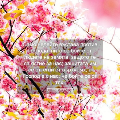 Picture 05 - Числа 14:9 BULG - Само недейте въстава - Bible Verse Picture