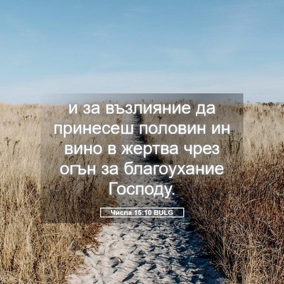 Picture 05 - Числа 15:10 BULG - и за възлияние да принесеш - Bible Verse Picture