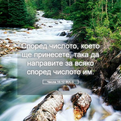 Picture 05 - Числа 15:12 BULG - Според числото, което ще - Bible Verse Picture