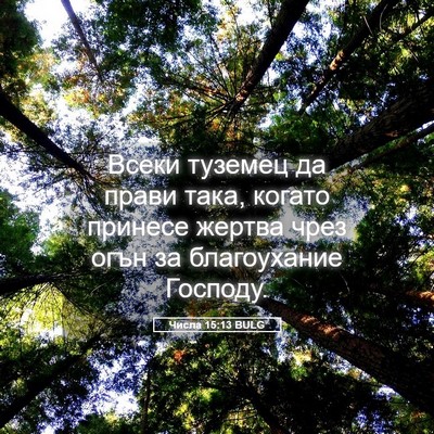 Picture 05 - Числа 15:13 BULG - Всеки туземец да прави - Bible Verse Picture
