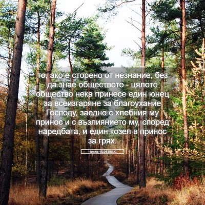 Picture 05 - Числа 15:24 BULG - то, ако е сторено от - Bible Verse Picture