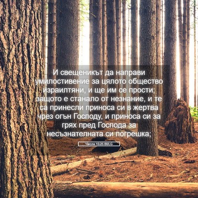 Picture 05 - Числа 15:25 BULG - И свещеникът да направи - Bible Verse Picture