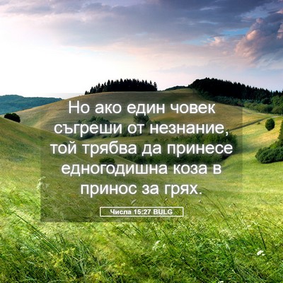 Picture 05 - Числа 15:27 BULG - Но ако един човек съгреши - Bible Verse Picture