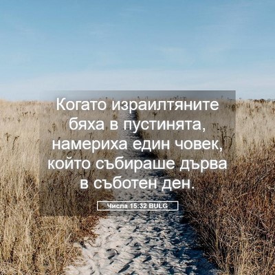 Picture 05 - Числа 15:32 BULG - Когато израилтяните бяха в - Bible Verse Picture