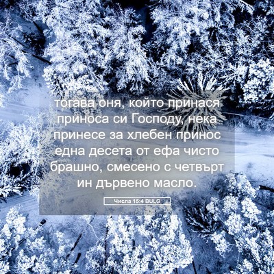 Picture 05 - Числа 15:4 BULG - тогава оня, който принася - Bible Verse Picture