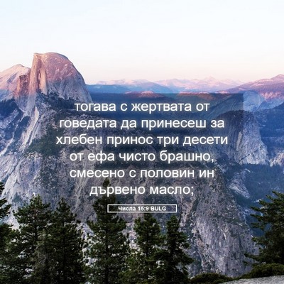 Picture 05 - Числа 15:9 BULG - тогава с жертвата от - Bible Verse Picture