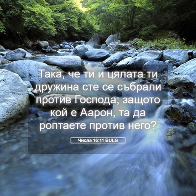 Picture 05 - Числа 16:11 BULG - Така, че ти и цялата ти - Bible Verse Picture