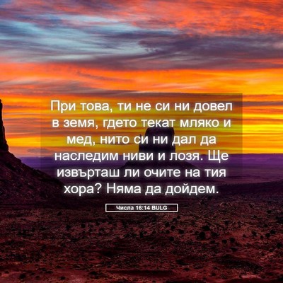 Picture 05 - Числа 16:14 BULG - При това, ти не си ни довел - Bible Verse Picture