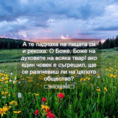 Picture 05 - Числа 16:22 BULG - А те паднаха на лицата си и - Bible Verse Picture