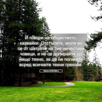 Picture 05 - Числа 16:26 BULG - И говори на обществото, - Bible Verse Picture