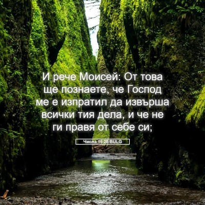 Picture 05 - Числа 16:28 BULG - И рече Моисей: От това ще - Bible Verse Picture