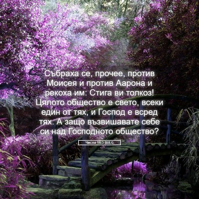 Picture 05 - Числа 16:3 BULG - Събраха се, прочее, против - Bible Verse Picture