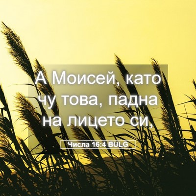 Picture 05 - Числа 16:4 BULG - А Моисей, като чу това, - Bible Verse Picture