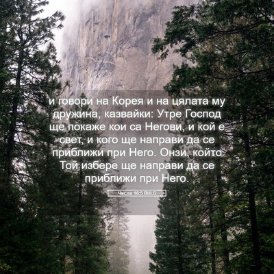 Picture 05 - Числа 16:5 BULG - и говори на Корея и на - Bible Verse Picture