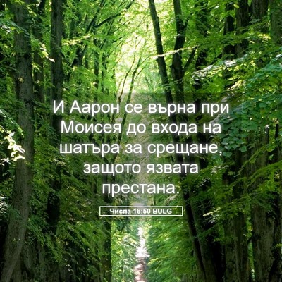 Picture 05 - Числа 16:50 BULG - И Аарон се върна при Моисея - Bible Verse Picture