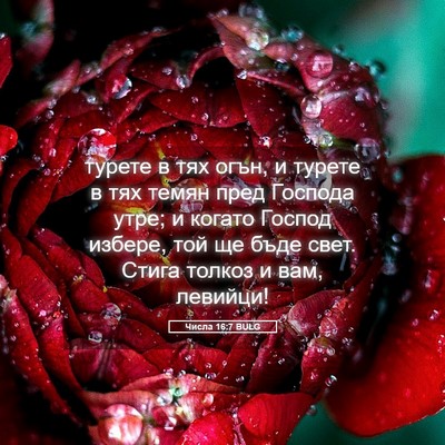 Picture 05 - Числа 16:7 BULG - турете в тях огън, и турете - Bible Verse Picture