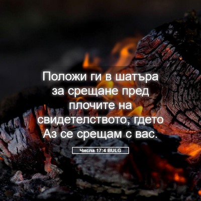 Picture 05 - Числа 17:4 BULG - Положи ги в шатъра за - Bible Verse Picture