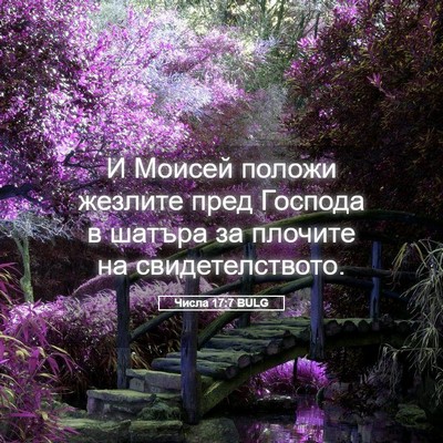 Picture 05 - Числа 17:7 BULG - И Моисей положи жезлите - Bible Verse Picture