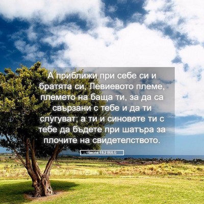 Picture 05 - Числа 18:2 BULG - А приближи при себе си и - Bible Verse Picture
