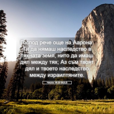 Picture 05 - Числа 18:20 BULG - Господ рече още на Аарона: - Bible Verse Picture