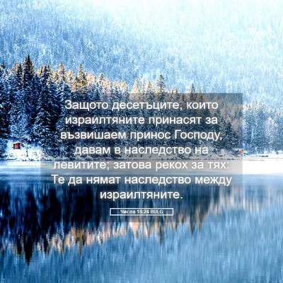 Picture 05 - Числа 18:24 BULG - Защото десетъците, които - Bible Verse Picture