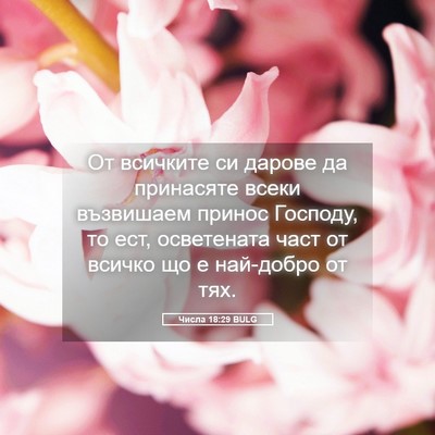 Picture 05 - Числа 18:29 BULG - От всичките си дарове да - Bible Verse Picture