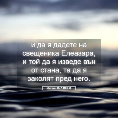 Picture 05 - Числа 19:3 BULG - и да я дадете на свещеника - Bible Verse Picture