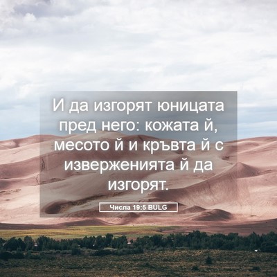 Picture 05 - Числа 19:5 BULG - И да изгорят юницата пред - Bible Verse Picture