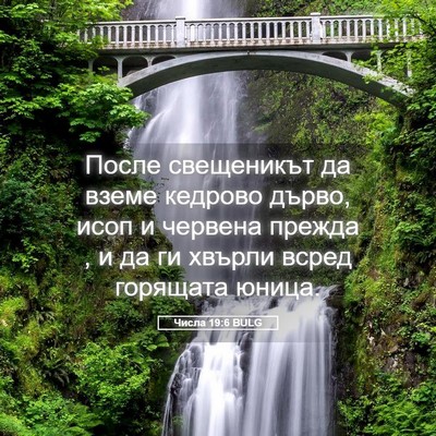 Picture 05 - Числа 19:6 BULG - После свещеникът да вземе - Bible Verse Picture