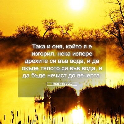 Picture 05 - Числа 19:8 BULG - Така и оня, който я е - Bible Verse Picture