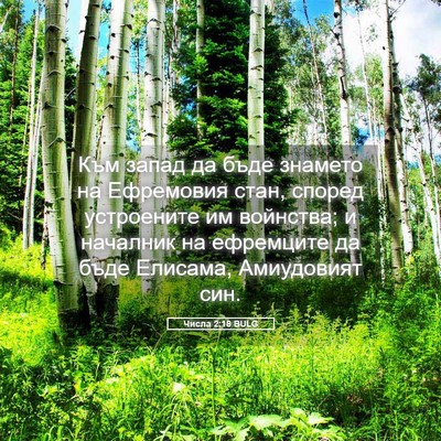 Picture 05 - Числа 2:18 BULG - Към запад да бъде знамето - Bible Verse Picture