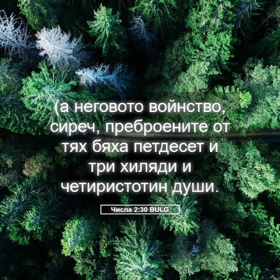 Picture 05 - Числа 2:30 BULG - (а неговото войнство, - Bible Verse Picture