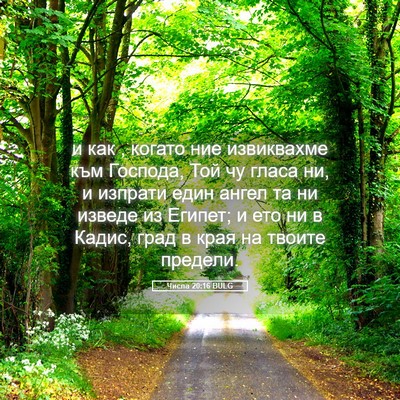 Picture 05 - Числа 20:16 BULG - и как , когато ние - Bible Verse Picture
