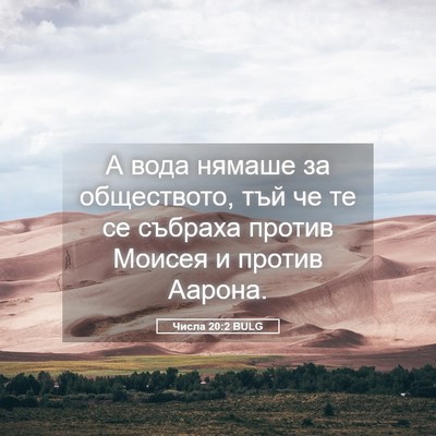 Picture 05 - Числа 20:2 BULG - А вода нямаше за - Bible Verse Picture