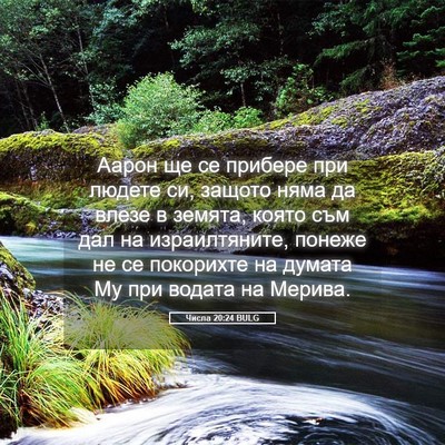Picture 05 - Числа 20:24 BULG - Аарон ще се прибере при - Bible Verse Picture