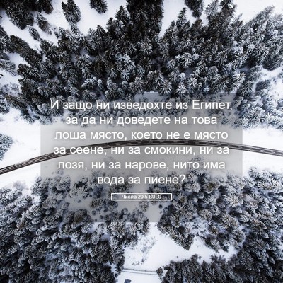 Picture 05 - Числа 20:5 BULG - И защо ни изведохте из - Bible Verse Picture