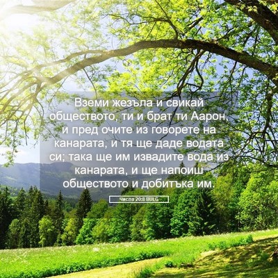 Picture 05 - Числа 20:8 BULG - Вземи жезъла и свикай - Bible Verse Picture