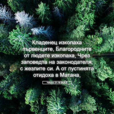 Picture 05 - Числа 21:18 BULG - Кладенец изкопаха - Bible Verse Picture
