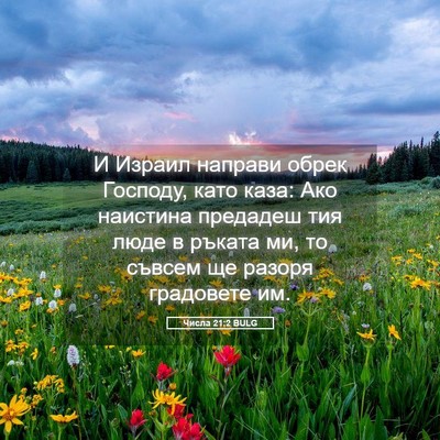 Picture 05 - Числа 21:2 BULG - И Израил направи обрек - Bible Verse Picture