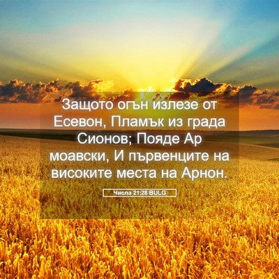 Picture 05 - Числа 21:28 BULG - Защото огън излезе от - Bible Verse Picture