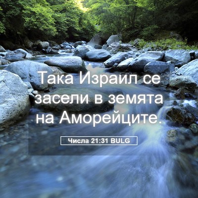 Picture 05 - Числа 21:31 BULG - Така Израил се засели в - Bible Verse Picture