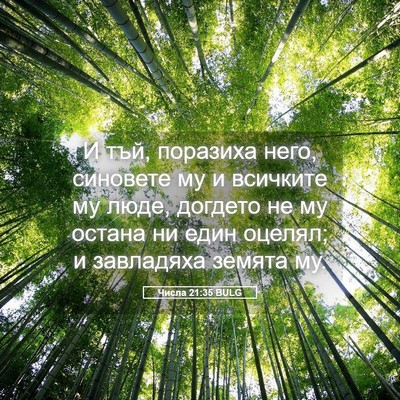 Picture 05 - Числа 21:35 BULG - И тъй, поразиха него, - Bible Verse Picture