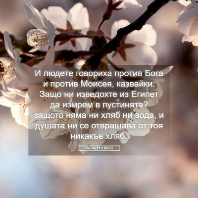 Picture 05 - Числа 21:5 BULG - И людете говориха против - Bible Verse Picture