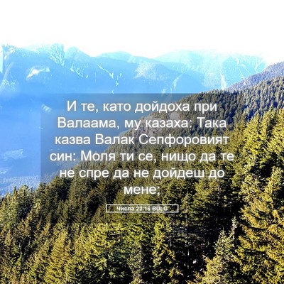 Picture 05 - Числа 22:16 BULG - И те, като дойдоха при - Bible Verse Picture